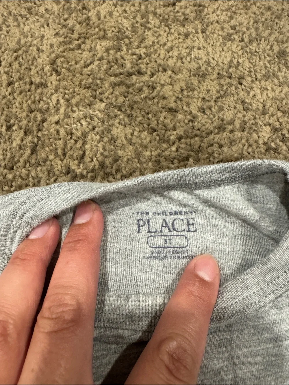 The children’s place long sleeve Grey T-shirt—3T—unisex
